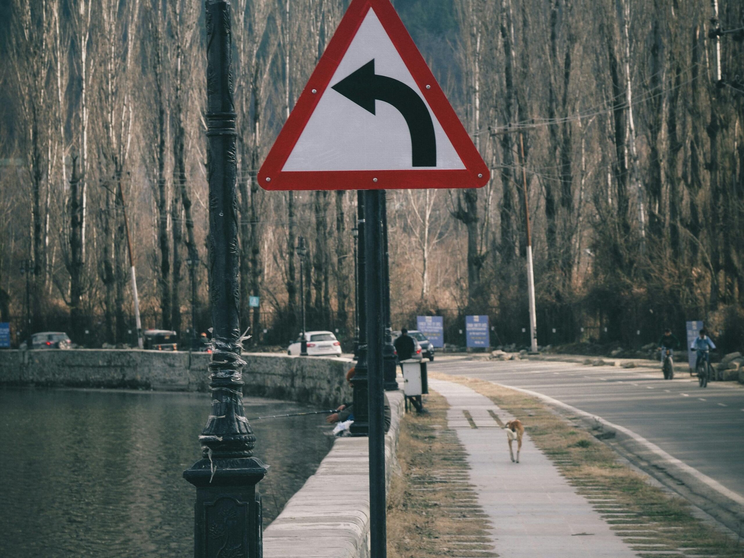 Riverside road with a left turn traffic sign against bare winter trees and a peaceful atmosphere.